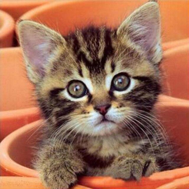 50X50CM 5D DIY Diamond Painting Portrait Girl Dance Full Square Round Mosaic Diamond Rhinestone Picture Woman Home Decor