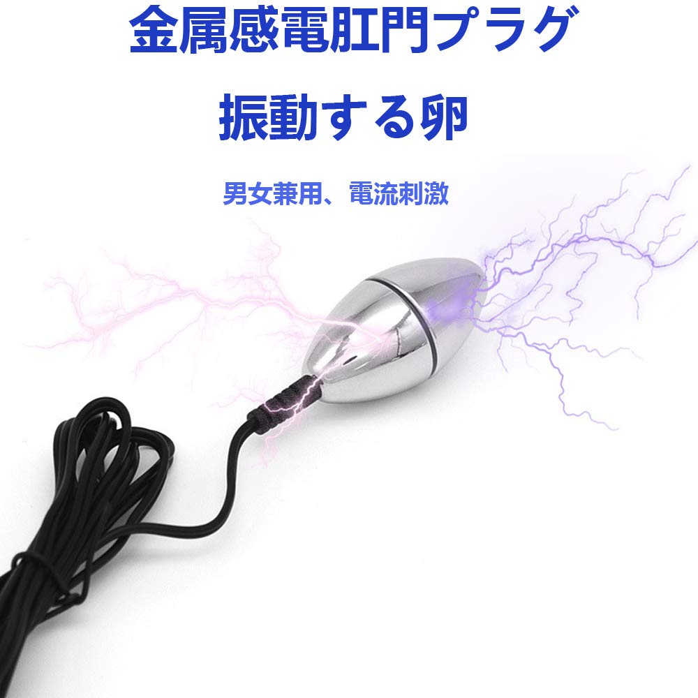 Electric Sex Anal Plug Stainless Steel Electric Shock Anal Plug Anal Torture Unisex Sex Toy (A Suit)