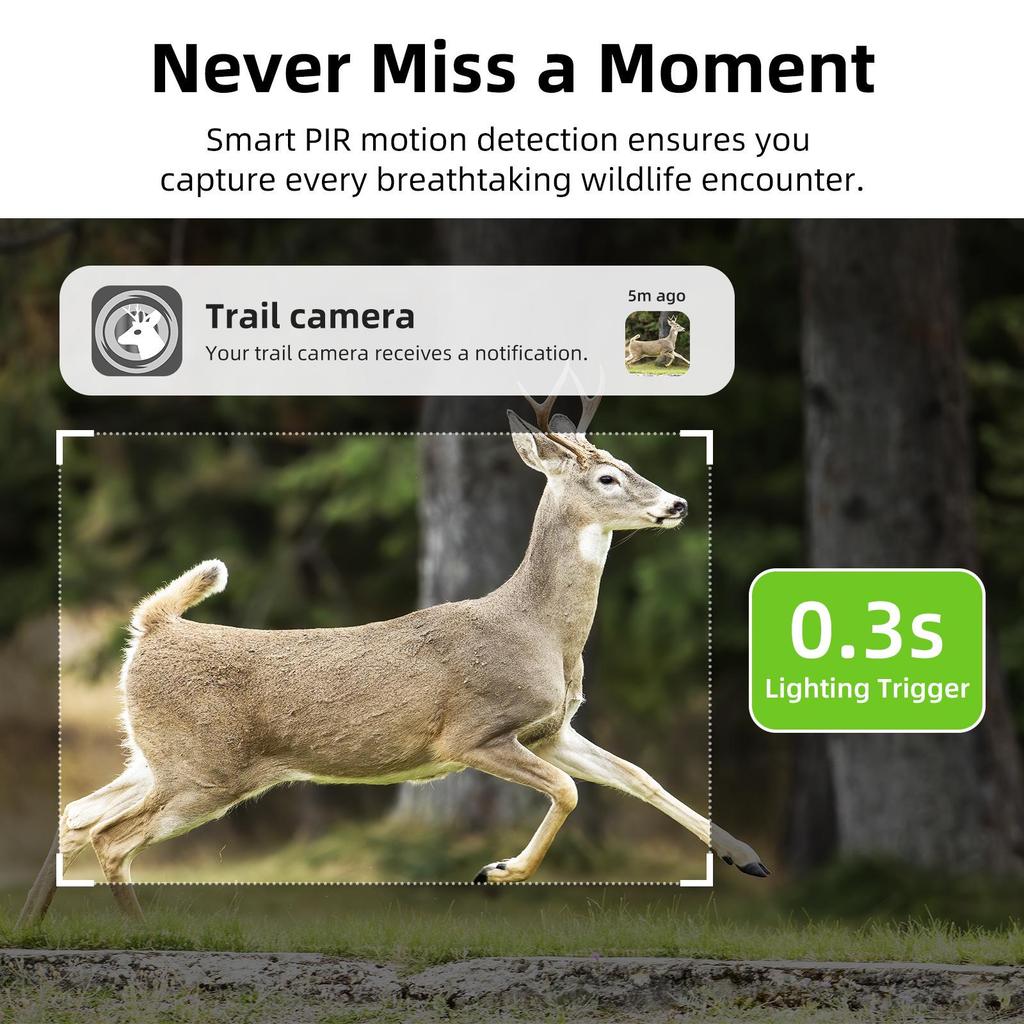 F8 4G Solar HD Infrared Night Vision PIR Sensor Wildlife Camera