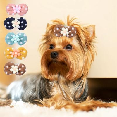 Ropa y calzado – Accesorios para perros