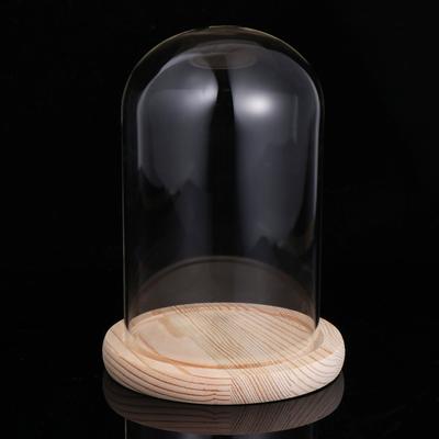 9x15cm Transparent Glass Dome Cover for Eternal Flowers Handmade Micro Landscape Display Solid Wood Base Non Slip Bottom Compact