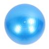 Extra Thick Exercise Ball PVC Anti Burst Inflatable Gym Ball with Pump for Pilates Balance Stability Core Workout