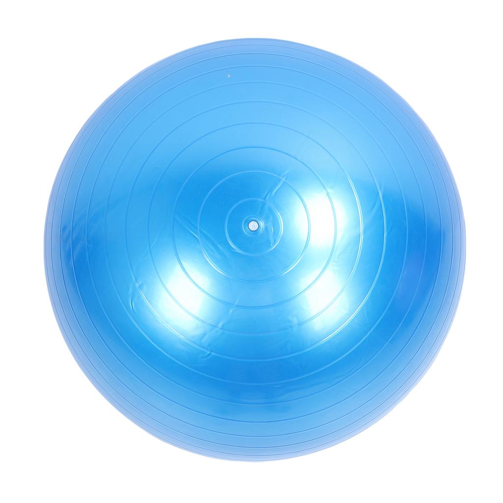 Extra Thick Exercise Ball PVC Anti Burst Inflatable Gym Ball with Pump for Pilates Balance Stability Core Workout
