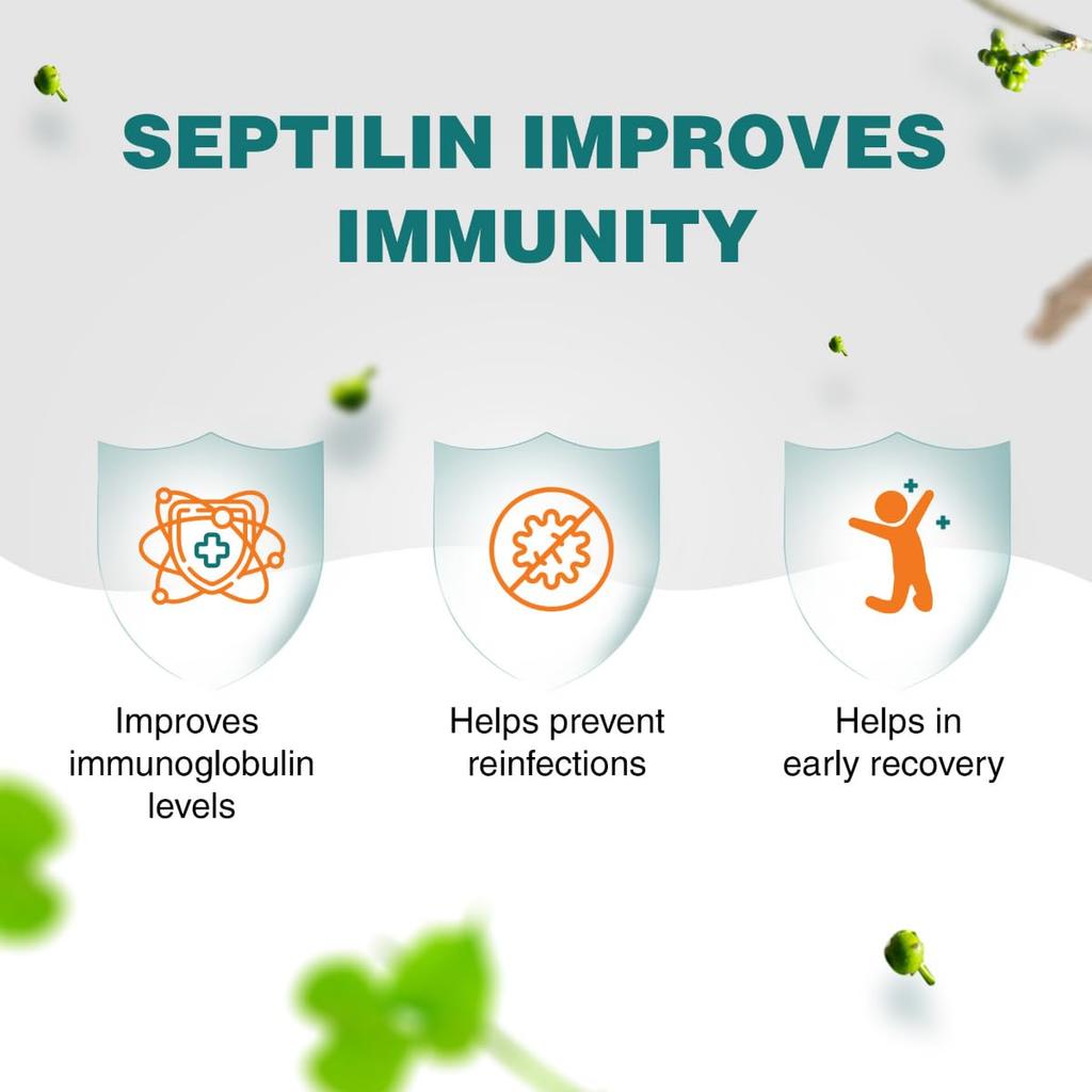 Himalaya Tablety Septilin pro podporu imunity 60 tablet v balení Přírodní doplněk pro zdraví dýchacích cest a celkovou obranyschopnost těla