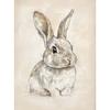 Vintage Spring Academia Botanical Rabbit Bunnies Colorful Eggs Poster Canvas Painting Wall Art Pictures Holiday Home decoration