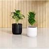 Pot de fleurs rond - GARDEN ID - Luca Grande - Ø 30 - 17 L - H 30 cm - Noir