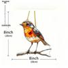 Bird Theme Sun Catcher Acrylic Ornamen Sign, Nurseries, Vintage Home Decor Wall for Bar Kitchen, Restaurant Shop Wall Decor, Farmhouse Lake Life Decor