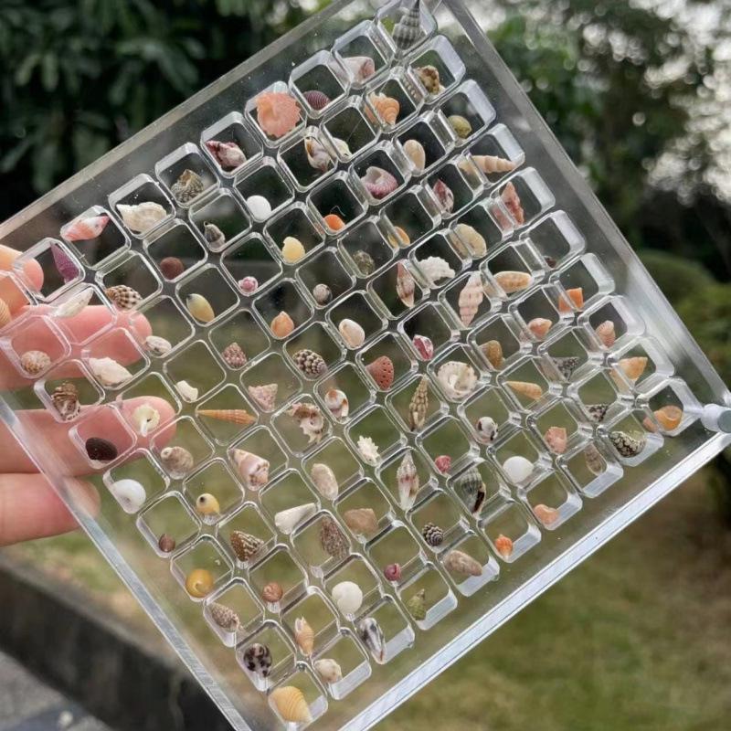 Handmade Mini Seashell Ornaments: Conch Photo Frame, Storage Box, Fish Tank Decor