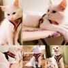 Breathable Mesh Pet Harness Leash Set with Reflective Straps for Chihuahua York Bulldog Adjustable Dog Chest Strap Walking Leash