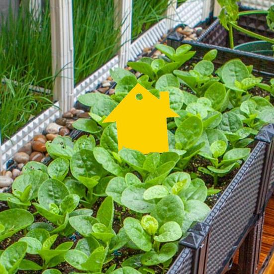 5Pcs Nützliche selbstklebende Sun-proof Fly Klebrige Haus Form Blattläuse Falle Haushaltswaren