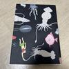 [USED] LOEWE ISSUE 5 Art Book