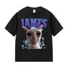 James IAMES Funny Cat Meme T-shirts Stupid Joke Gifts Cat Lover Short Sleeve T-shirt Men Women Fashion T Shirts
