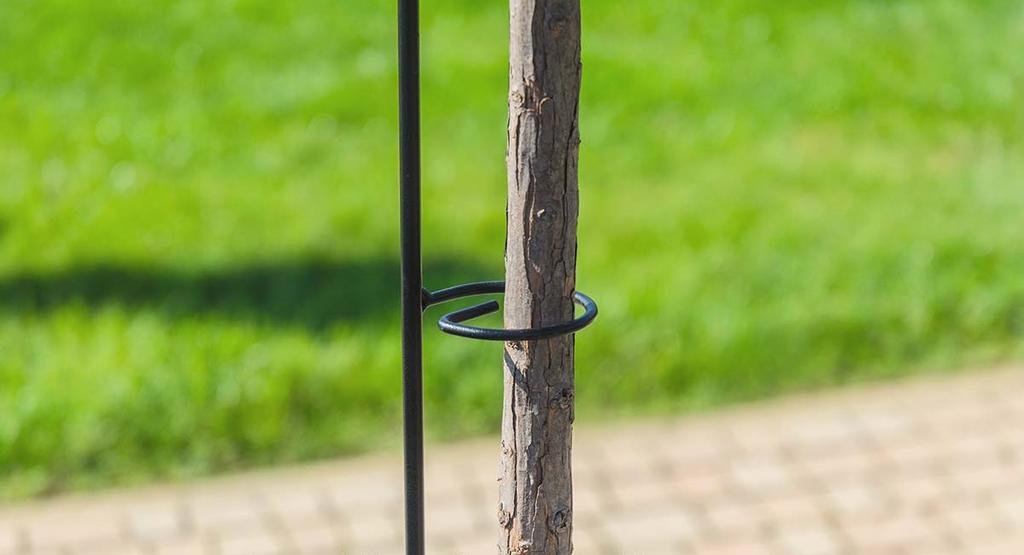 KADAX Kwietnik Stojak Obejma Podpora Stal Na Róże