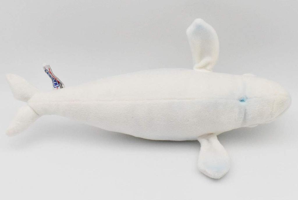 BH6626 HANSA Beluga 42