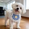 2pcs Checkered Dog Bib Set, Lace Trim Pet Bandana with Flower for Small Dogs