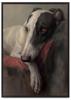 Portrait Poster with a Dog In a Frame
