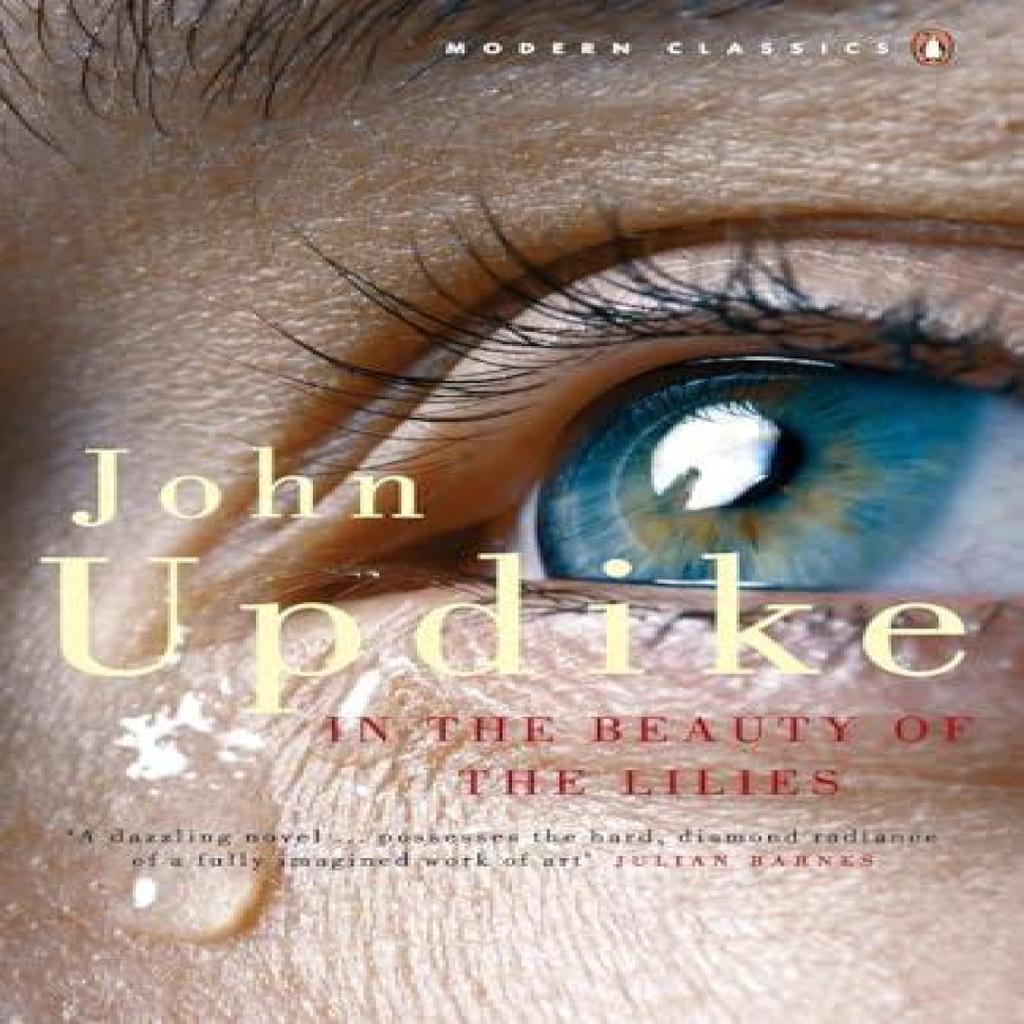In the Beauty of the Lilies by John Updike Paperback Book 9780141188577
