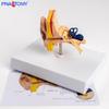 Ear Anatomy Model: Outer, Middle & Inner Auditory System for Teaching