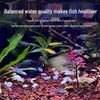 YOVANMENG Aquarium & Terrarium Decor Stones & Adhesives