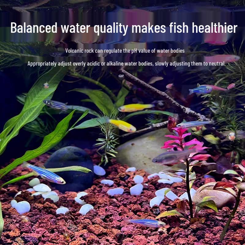 YOVANMENG Aquarium & Terrarium Decor Stones & Adhesives