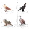 Simulation Of Birds, Birds, Animal Models, Cognition, Monkey Face Eagle, Eagle, Vulture, Owl, Cognition, Static Ornament