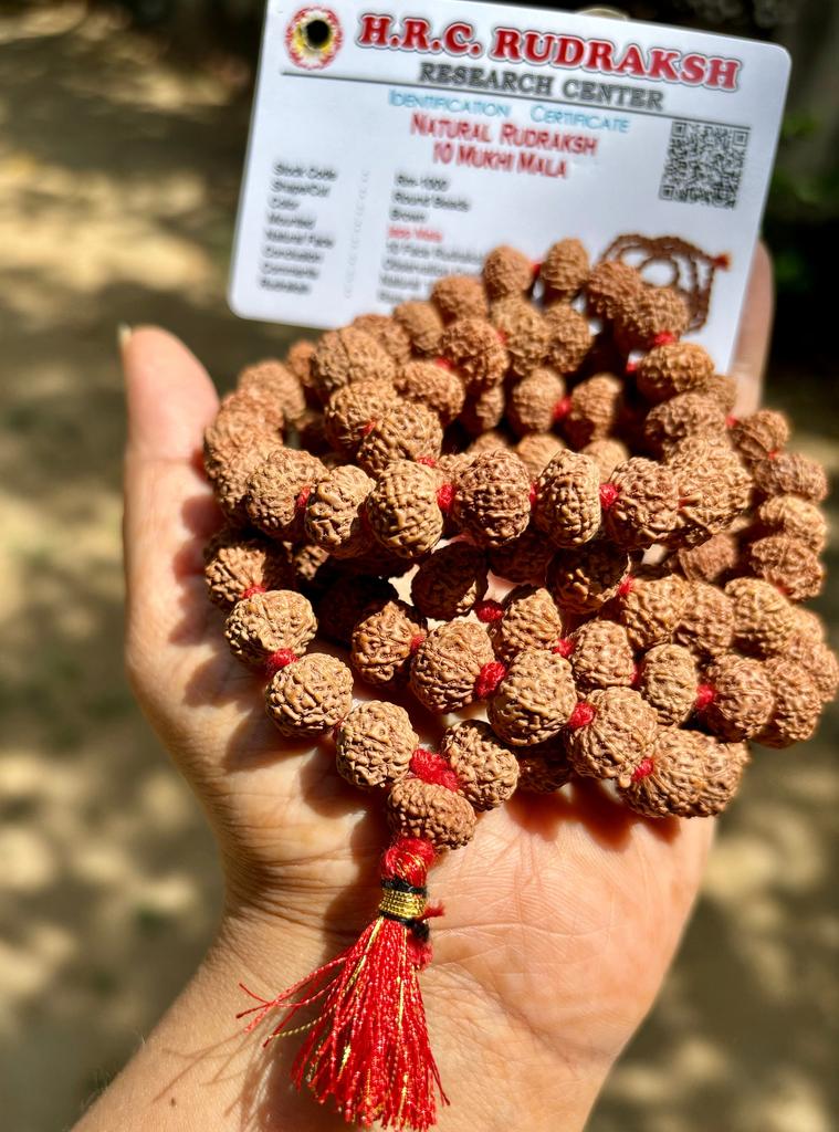 LAB CERTIFIED 108+1 Bead Rudraksha Mala 10 Mukhi 10 Faces (10 Mm Bead) Lord Shivas Rosary Jaap Mala Yoga Prayer Healing, Rare Rudraksha