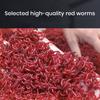 60ml Fish Enhancer Liquid High Concentration Stimulate Taste Safe Ingredients Strong Penetration Red Worm Liquid Bait Fish Enhancer Fishing Supplies