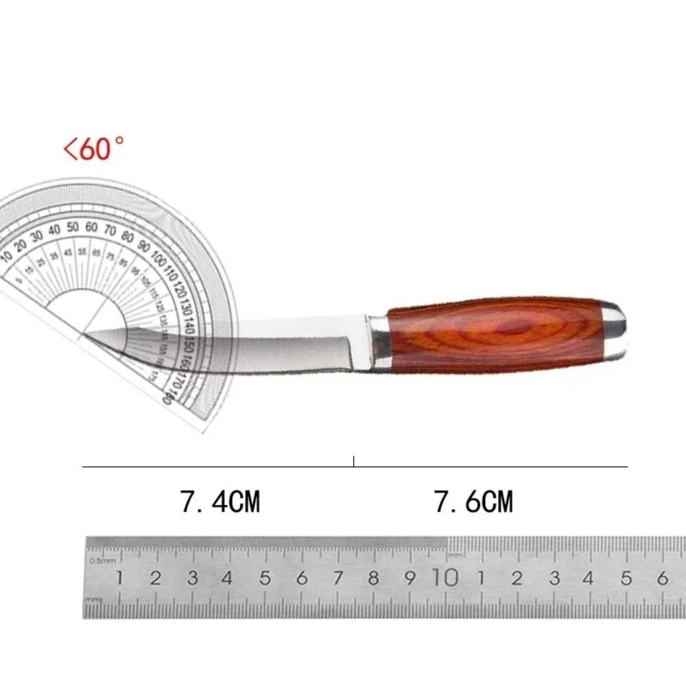 1 scharfes Edelstahl-Fruchtmesser mit Holzgriff, Mehrzweck-Barbecue-Klappmesser für Familie und Barbecue