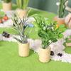 1:12 Dollhouse Mini Orange Tree Snow Conifers Moonflower Leafy Plant Potted Green Potted Plants Bucket Flower Home Garden Decor