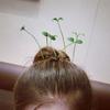 5ks Funny Plant Hairpin Flower Butterfly Sprout Sponky do vlasů pro děti, dívky, ženy