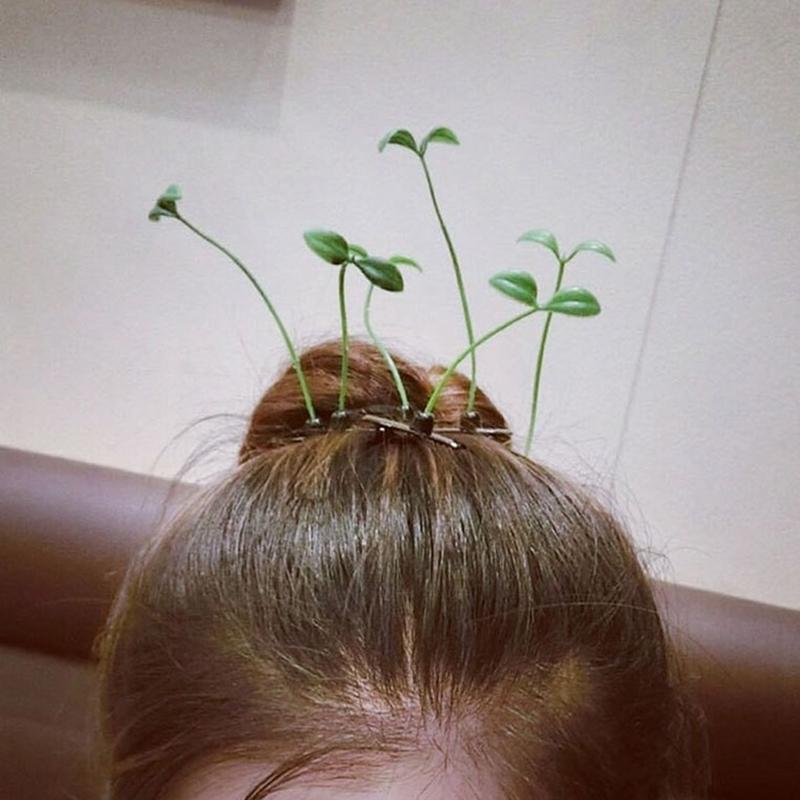 5ks Funny Plant Hairpin Flower Butterfly Sprout Sponky do vlasů pro děti, dívky, ženy