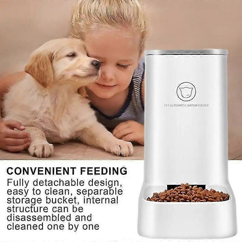 Cat Automatic Feeders Opaque Gravity Feeding System Food Feeder Water Dispenser Safe Using Dog Automatic Feeders Cat Water