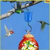 1/3Pcs Multifunctional Anti-Ant Hook Easy To Clean Ant Guard Trough Set  Hummingbird Feeders