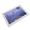 10inch Digital Picture Frame HD 1280x800 16:10 High Brightness Slideshow Touch Screen Electronic Photo Frame for Photos
