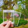Diy Transparent Specimen Bookmarks Plastic Frame For Pressed Leaves Flowers Pressed Flowers Herbarium Journal Scrapbooking