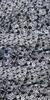 Italian Black & White Floral High-Count Cotton Poplin Fabric for Designer Dress Shirts