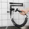 Brass Kitchen Faucet Single Cold Tap With Bidet Sprayer Black Kitchen Sink Tap Brushed Nickel Fold Tap Wall Mounted Chrome
