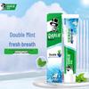 Double Mint Freshness Toothpaste