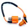 LEXOR Motorcycle Universal Ignition Coil Compatible with Yamaha Reinforced Ignition