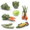 Lifelike 7 Piece Pvc Vegetable Model Set Featuring Spinach Carrot Corn Cabbage Onion Edamame Ideal For Display Or Play