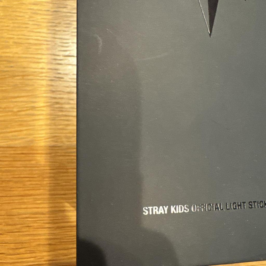 [USED] Anonymous Shipping Stray Kids Penlight ver.2