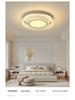 2025 Luxury Modern Minimalist Ceiling Light for Living Room, Hall, or Master Bedroom