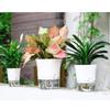 1PCS Plant Pot Plastic Transparent Self-Watering Plant Flower Pot Clear Plant Household Garden Supplies Home Decorations