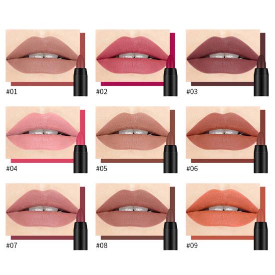 DNM 19 Color Mist Matte Moisturizing Lipstick Non Sticky Waterproof Cosmetic