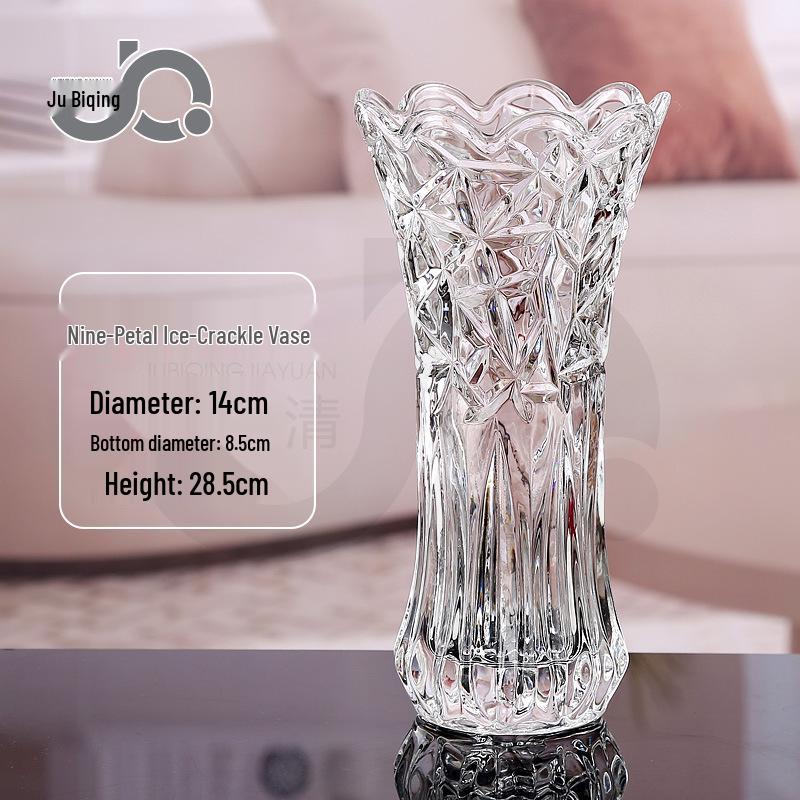Extra Large Transparent Glass Vase, 50cm Height, Wide Diameter for Flower Arrangements, Living Room Decor, Hydroponic Lucky Bamboo