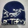 Autumn and winter new bird hat versatile cold hat knitted hat embroidery warm bird hat wool hat