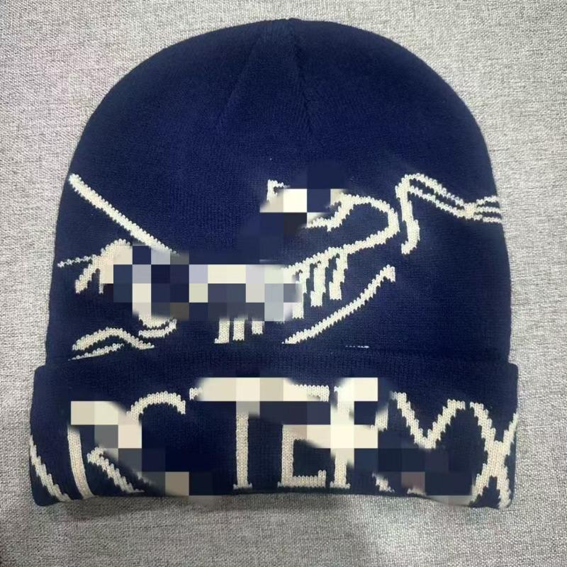 Autumn and winter new bird hat versatile cold hat knitted hat embroidery warm bird hat wool hat