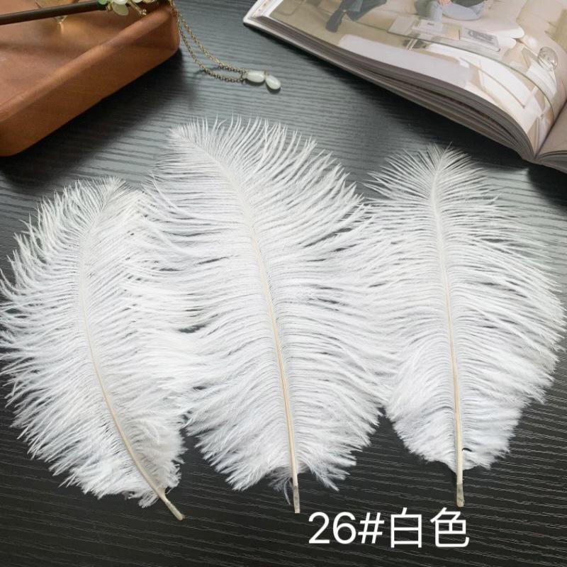 Ostrich Hair Colored Feathers 20-25Cm Wedding Table Lamp Decoration Stage Diy Material Clothing Accessories