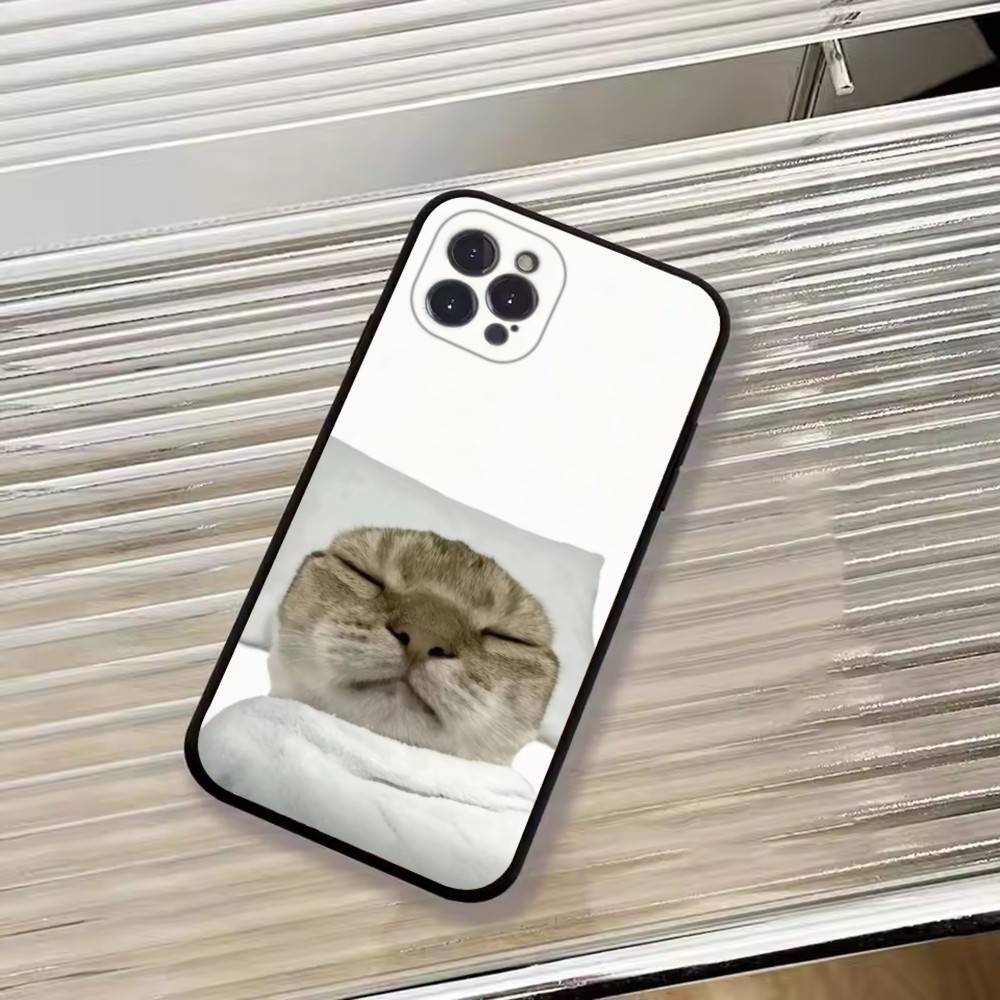 F-Lustige Tierkatze Handyhülle Silikon Weich Für IPhone 17 16 15 14 13 12 11 X XR Plus Pro Max Plus