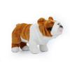 Cute Doll Simulation Brown and White Bulldog Plush Toy New Plush Toy